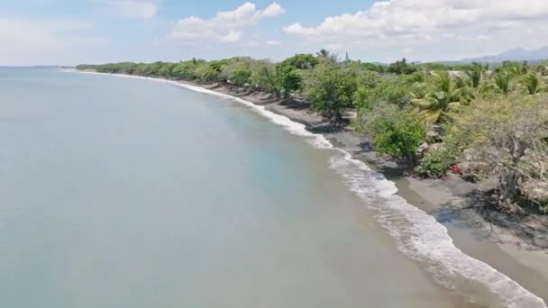 ドミニカ共和国サン クリストバルの緑豊かな植生を持つプラヤパレンケの海岸に浮かぶ海の波 空撮ドローンショット — ストック動画