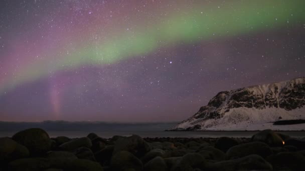 Timelapse Northern Lights Unstad Beach Lofoten Νορβηγία — Αρχείο Βίντεο