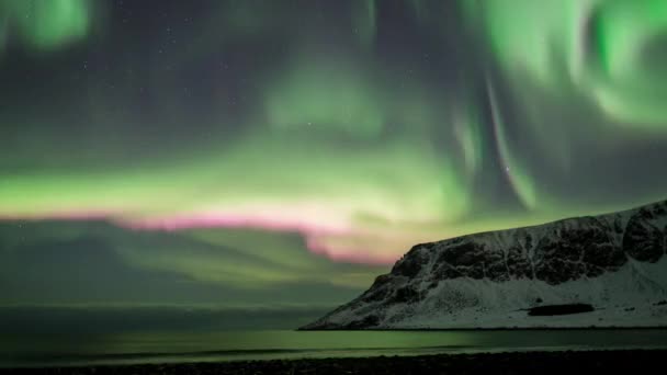 Vivid Northern Lights Ocean Mountain Lofoten Νορβηγία — Αρχείο Βίντεο