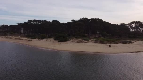 Niño Volando Cometa Playa Junto Río Maldonado Durante Día Nublado — Vídeos de Stock