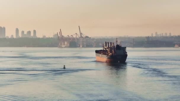 Containerschiff Fährt Vancouver Ein Drohne Goldener Stunde — Stockvideo