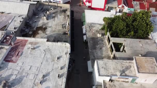 Una Toma Aérea Una Calle Estrecha Orilla Océano Pocas Casas — Vídeo de stock