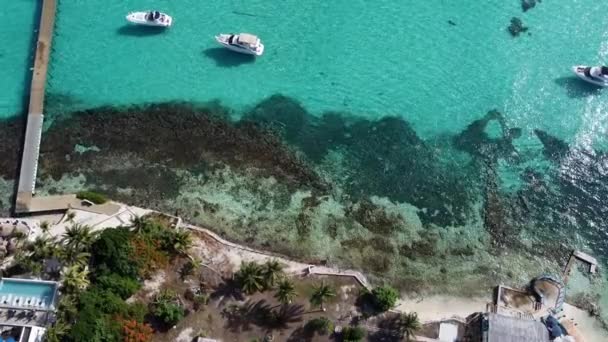 Légi Felvétel Búvárkodásról Trópusi Tengerben Kevés Hajó Horgonyoz Isla Mujeres — Stock videók