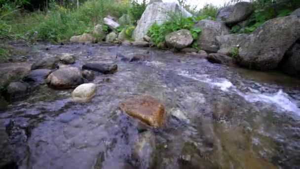 Kleine Kreek Met Snel Stromend Schoon Water Tussen Stenen Statische — Stockvideo