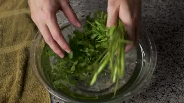 Persona Impregnato Mazzo Prezzemolo Verde Una Ciotola Chiudere — Video Stock