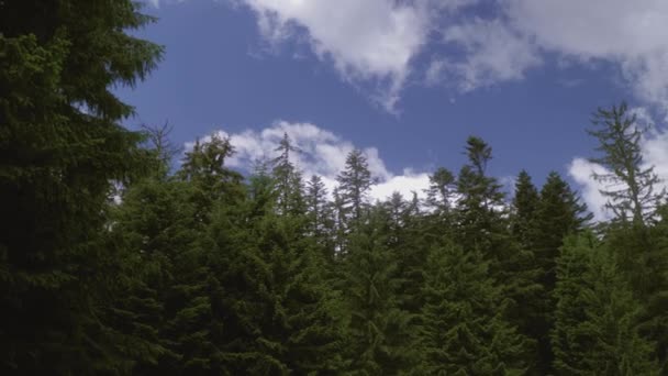 Movimiento Cámara Panorámica Izquierda Derecha Que Revela Las Cimas Del — Vídeo de stock