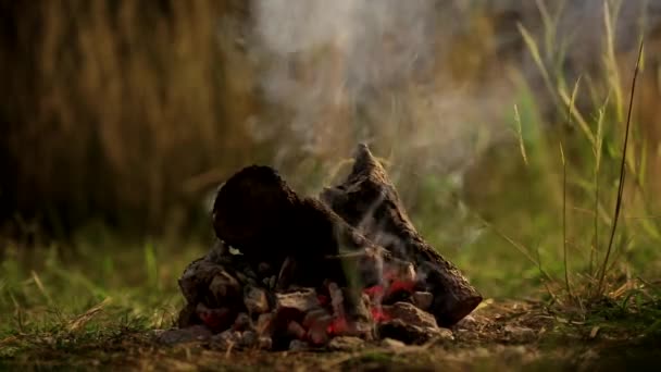 暖かい滞在するミニたき火の上に木の棒を燃焼 — ストック動画