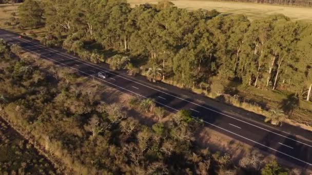 Grijze Auto Rijdt Langs Landelijke Route Bij Zonsondergang Uruguay Luchtfoto — Stockvideo