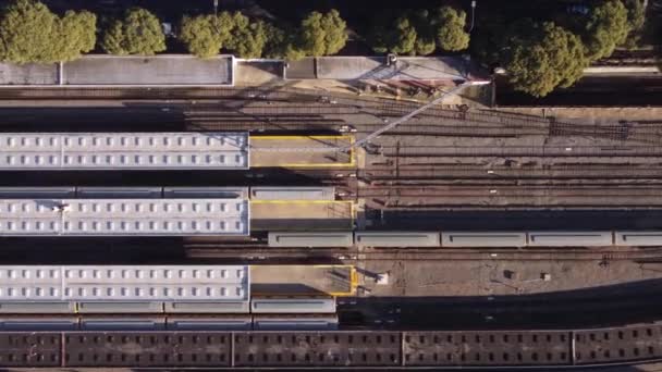 Cabañas Tren Carga Entrando Estación Federico Lacroze Argentina — Vídeo de stock