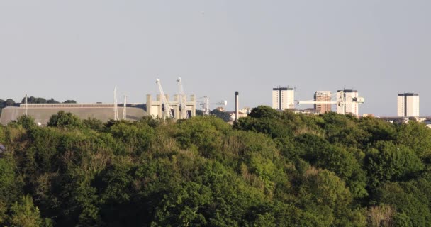 Plymouth Dockyard Treetops Seagulls Flying Foreground Devon Αγγλία — Αρχείο Βίντεο