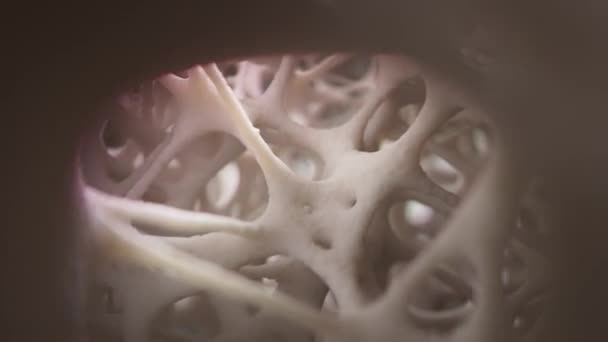 Kamera Kulesi Sağlıklı Süngerimsi Kemik Dokusunu Gösteriyor Gerçekçi Animasyon — Stok video