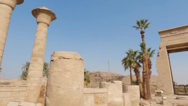 Panorama Des Colonnes Des Structures Temple Karnak Plein Air Sites — Video