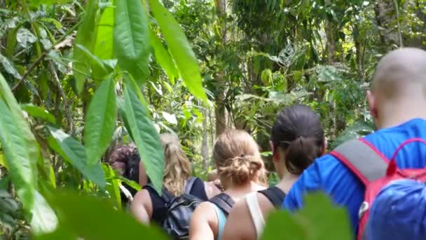 Group Young Backpackers Trekking Hiking Deep Jungle Umphang Located North — Stock Video