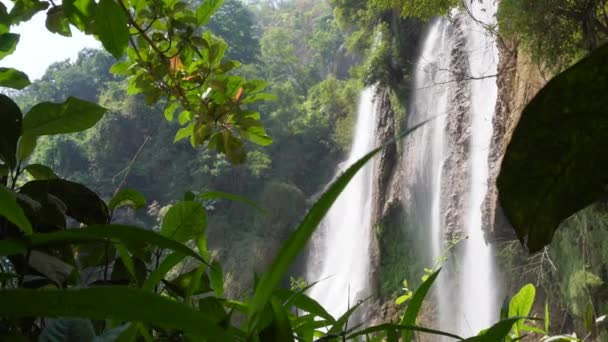 Uno Splendido Scatto Thi Waterfall Situato Nel Bel Mezzo Della — Video Stock