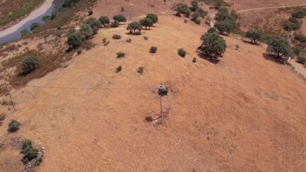 Luchtfoto Boven Ooievaarsnest Landelijk Landschap Alentejo Griekenland — Stockvideo