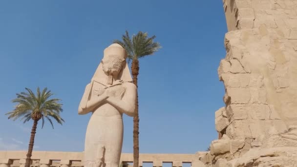 Статуя Фараона Пальмами Задньому Плані Блакитне Небо Карнакський Храм Нахил — стокове відео