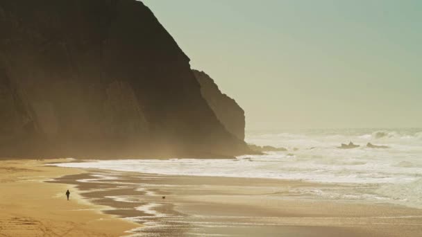 Aerial Drone Shot People Walking Dog Praia Grande Sandy Beach — Vídeo de stock