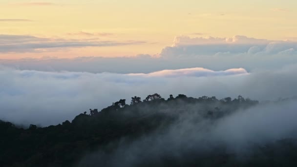 Costa Rica Misty Rainforest Landscape Mountains Low Lying Mist Clouds — Αρχείο Βίντεο