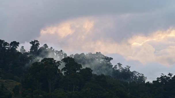 Costa Rica Misty Rainforest Landscape Mountains Scenery Jungle Low Lying — Αρχείο Βίντεο