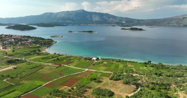 Hırvatistan Korcula Adasının Yavaş Çekimleri Adayı Çevreleyen Tarlaları Kıyı Şeridini — Stok video