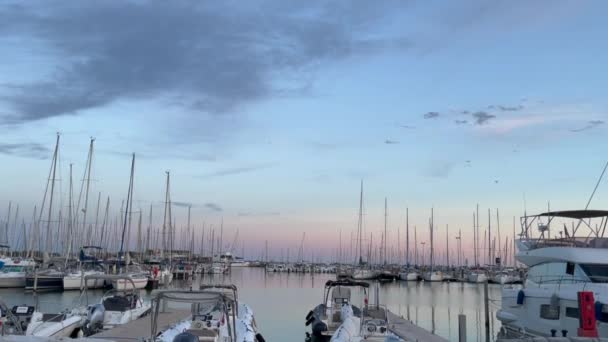 Monte Barco Porto Pôr Sol — Vídeo de Stock