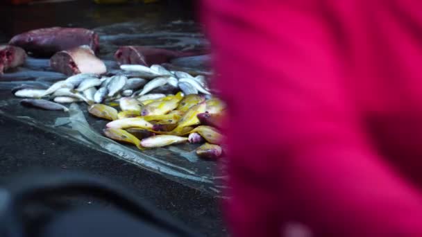 Kleine Bunte Fische Die Auf Dem Saigon Markt Chi Minh — Stockvideo