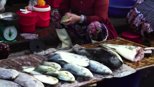 Vietnamese Vrouw Die Geld Telt Verse Vis Verkoopt Markt Pan — Stockvideo
