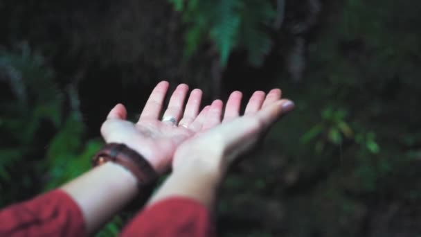 Die Ausgestreckten Hände Der Frau Die Einem Regnerischen Tag Regenwasser — Stockvideo