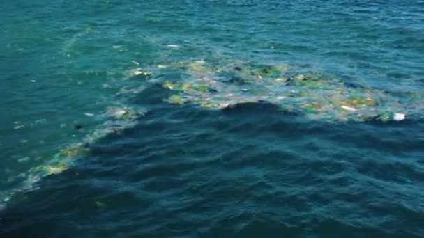 Escena Costera Con Basura Flotando Mar Circulación Aérea Levantamiento — Vídeos de Stock