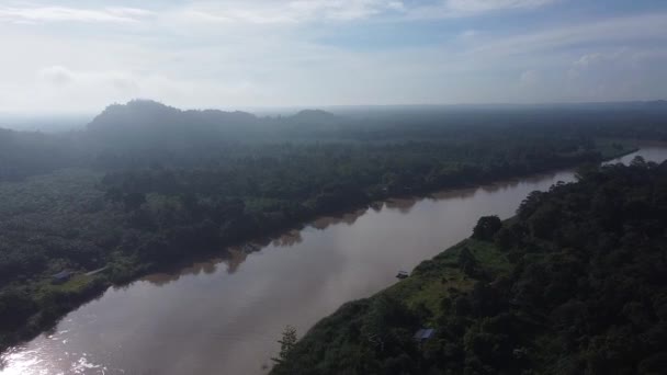 Veduta Aerea Drone Lungo Fiume Tortuoso Marrone Attraverso Foresta Pluviale — Video Stock