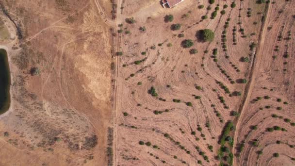 Widok Portugalską Wieś Odizolowaną Strukturą Otoczoną Drzewami Alentejo Strzał Drona — Wideo stockowe