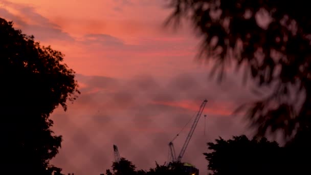 夕暮れ時で 鶴のシルエットが見えます オレンジの雲と空 — ストック動画