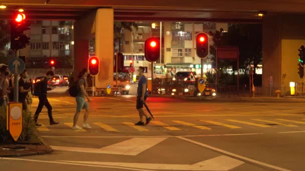 Semáforo Rojo Con Cruce Peatonal Por Noche — Vídeos de Stock