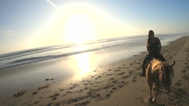 Beautiful Woman Horseback Riding Beach Sunset — Stock Video