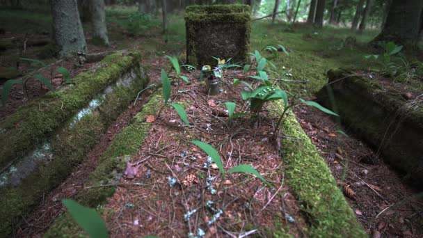 Overwoekerd Holocaust Kerkhof Litouwen Forest Europa — Stockvideo