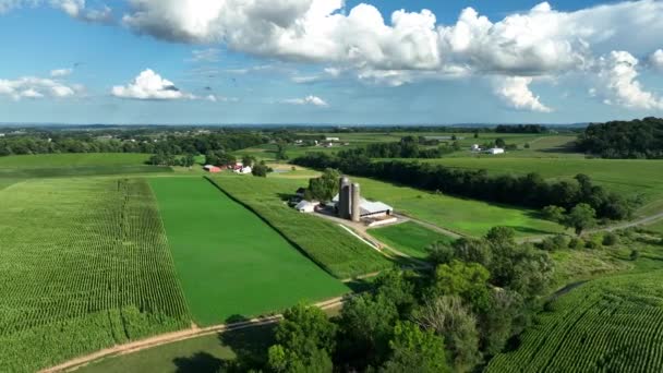 Terras Agrícolas Rurais Pensilvânia Cultivos Verdes Verão Vista Aérea Família — Vídeo de Stock