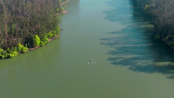 Rowing Teams Practicing Curauma Lagoon Summer Chile — Stock Video