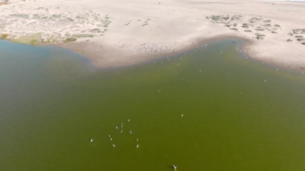 Bird Eye View Dolly Cartagena Estuario Persona Solitaria Piedi Lungo — Video Stock