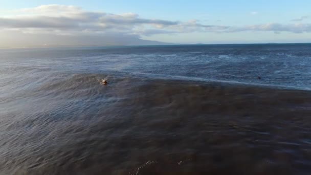 Surfer Überquert Welle Und Drohne Folgt Ihr Bis Sie Auf — Stockvideo
