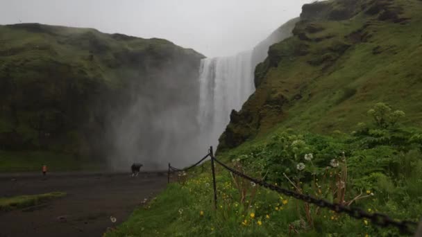 Skogafoss Cae Islandia Con Vídeo Plano Mediano Timelapse Con Gente — Vídeos de Stock