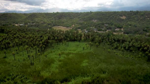 Achteruit Drone Shot Van Een Oase Baja California Sur Buurt — Stockvideo