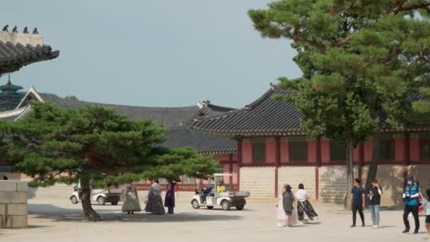 Lokale Toeristen Vrouwen Gekleed Hanbok Gronden Van Gyeongbokgung Palace Sajeongjeon — Stockvideo