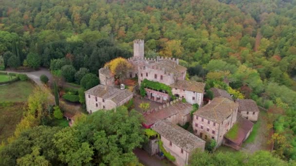 Montalto Slott Kullen Omgiven Skog Mulen Dag Antenn — Stockvideo