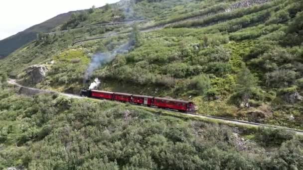 古い蒸気機関車がスイスアルプスの歯車鉄道の山道を走っている 歴史的な蒸気機関車は オーバーヴァルトからリアップまでの古い路線で運行されています — ストック動画