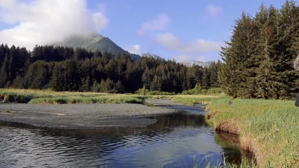 Natur Och Djurfotograf Beger Sig Vildmarken Kodiak Island Alaska För — Stockvideo