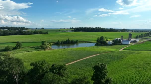 Familieboerderij Het Platteland Van Amerika Vijver Meer Zomerdag Luchtzicht — Stockvideo