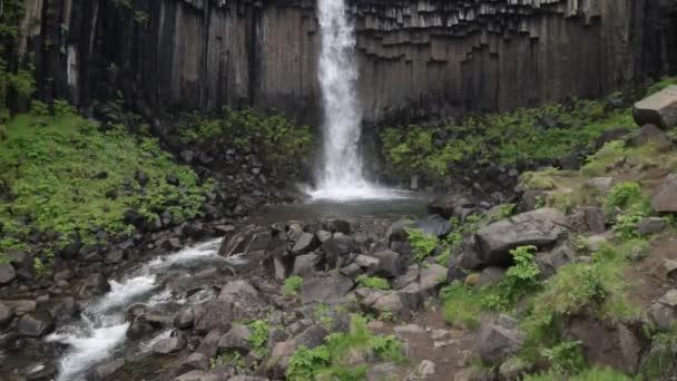 Svartifoss Falls Islande Fond Des Chutes Avec Vidéo Stable — Video