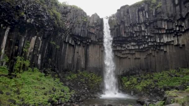 Svartifoss Falls Islandia Con Inclinación Vídeo Hacia Abajo — Vídeos de Stock