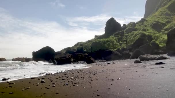 Vik Islandia Playa Arena Negra Con Vídeo Gimbal Caminando Hacia — Vídeo de stock