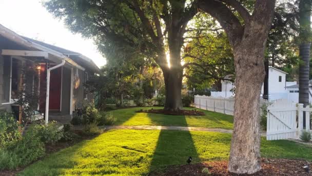 Sun Shining Huge Tree Front Yard Los Angeles Community California — Vídeos de Stock